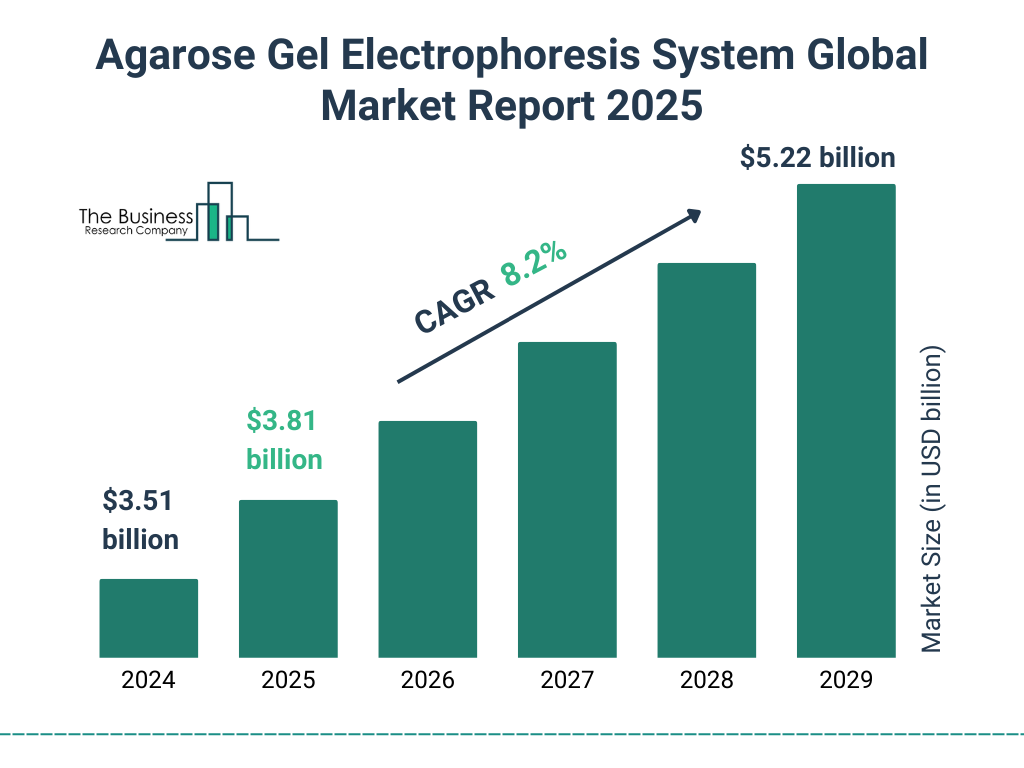 Agarose Gel Electrophoresis System Market Size and growth rate 2025 to 2029: Graph