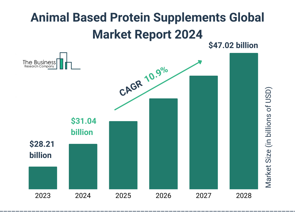 Global Animal Based Protein Supplements Market Size 2023 to 2028: Graph