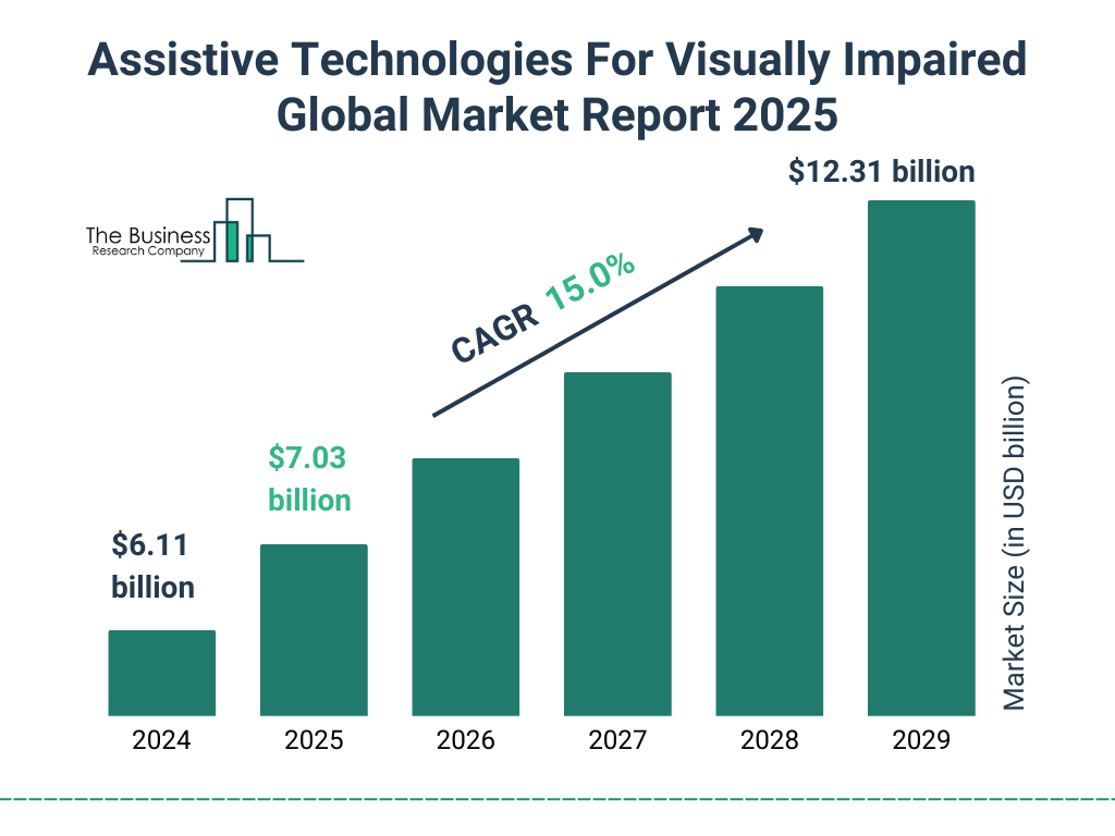 Assistive Technologies For Visually Impaired Market Size and growth rate 2025 to 2029: Graph