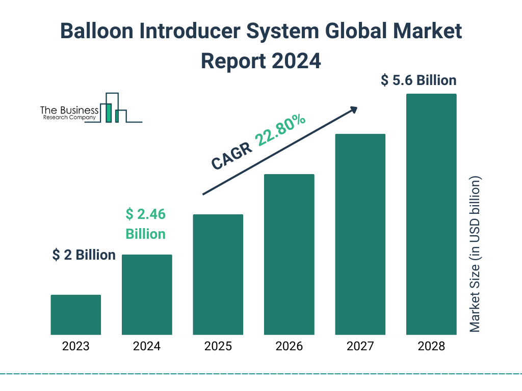 Global Balloon Introducer System Market Size 2023 to 2028: Graph