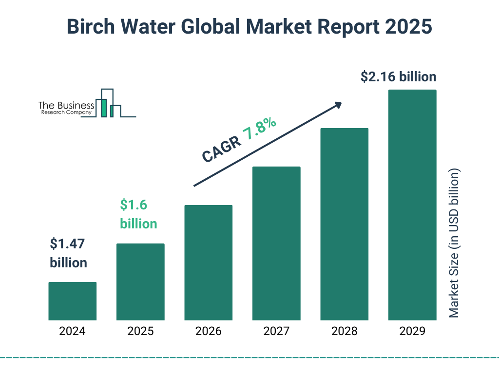 Birch Water Global Market Report 2025 Market Size and growth rate 2025 to 2029: Graph