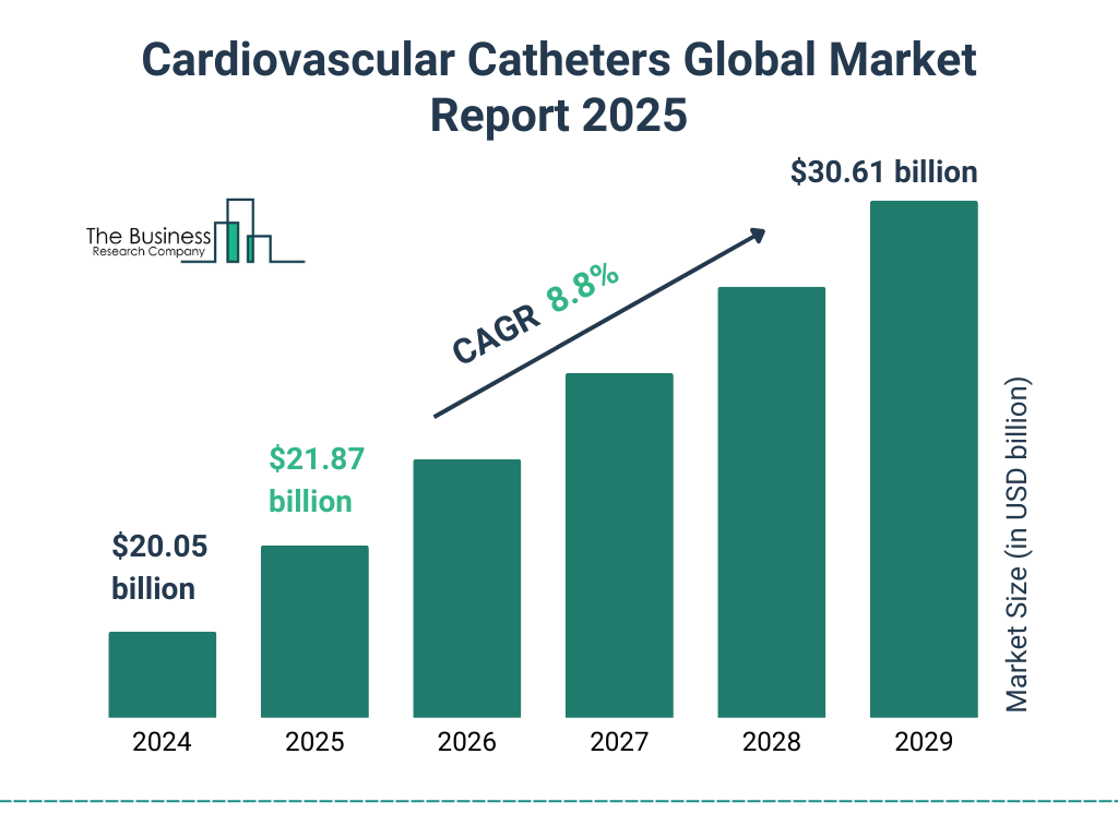 Cardiovascular Catheters Market Size and growth rate 2025 to 2029: Graph