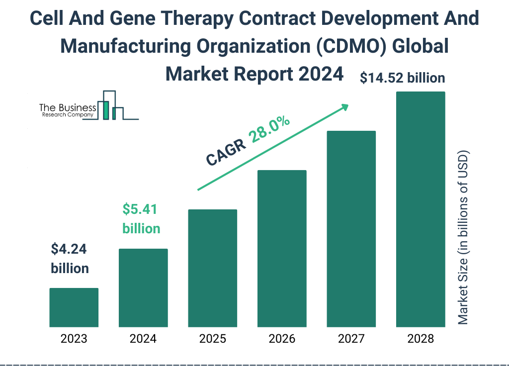 Global Cell And Gene Therapy Contract Development And Manufacturing Organization CDMO Market Size 2023 to 2028: Graph