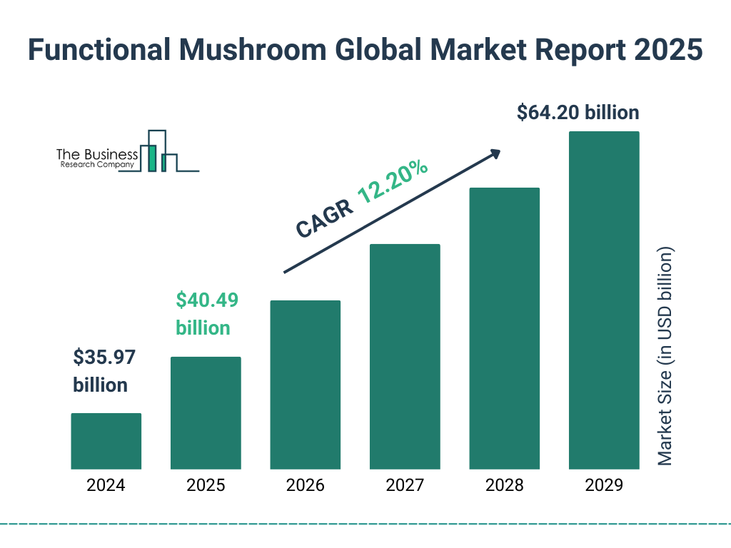 Functional Mushroom Market Size and growth rate 2025 to 2029: Graph