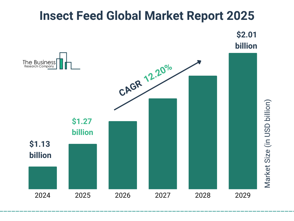 Insect Feed Market Size and growth rate 2025 to 2029: Graph