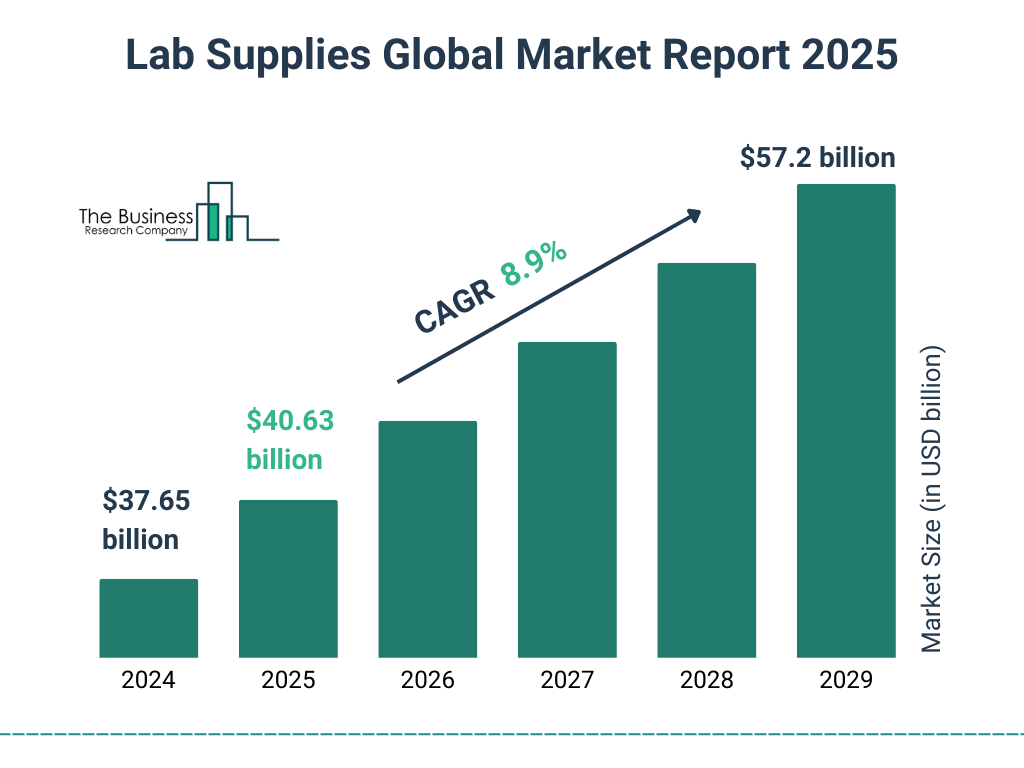 Lab Supplies Market Size and growth rate 2025 to 2029: Graph