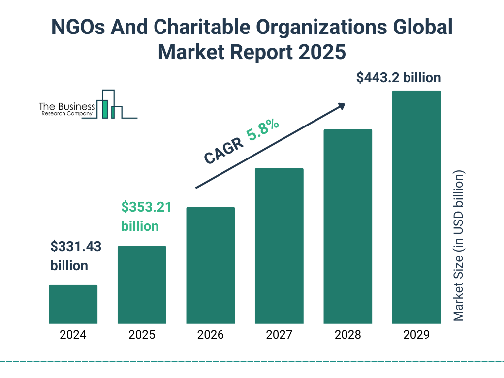 NGOs And Charitable Organizations Market Size and growth rate 2025 to 2029: Graph