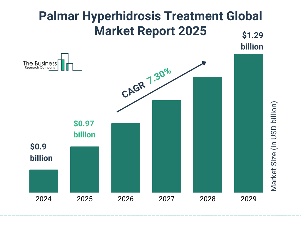 Palmar Hyperhidrosis Treatment Market Size and growth rate 2025 to 2029: Graph
