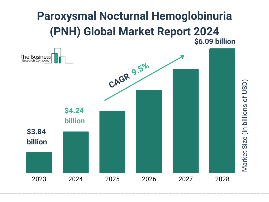 Global Paroxysmal Nocturnal Hemoglobinuria PNH Market Size 2023 to 2028: Graph