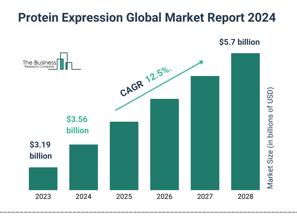 Global Protein Expression Market Size 2023 to 2028: Graph