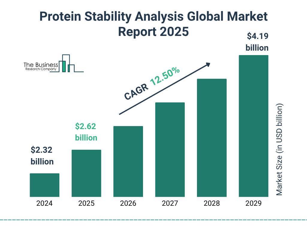 Protein Stability Analysis Market Size and growth rate 2025 to 2029: Graph