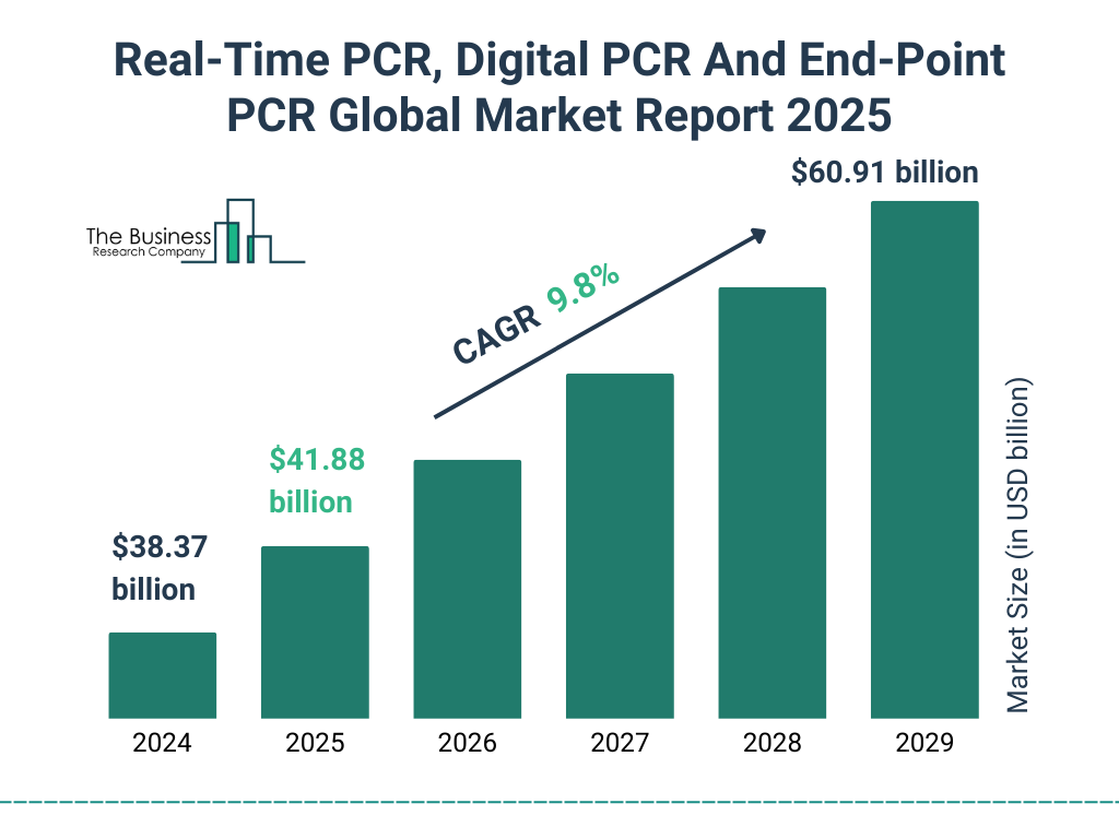 Real-Time PCR, Digital PCR And End-Point PCR Market Size and growth rate 2025 to 2029: Graph