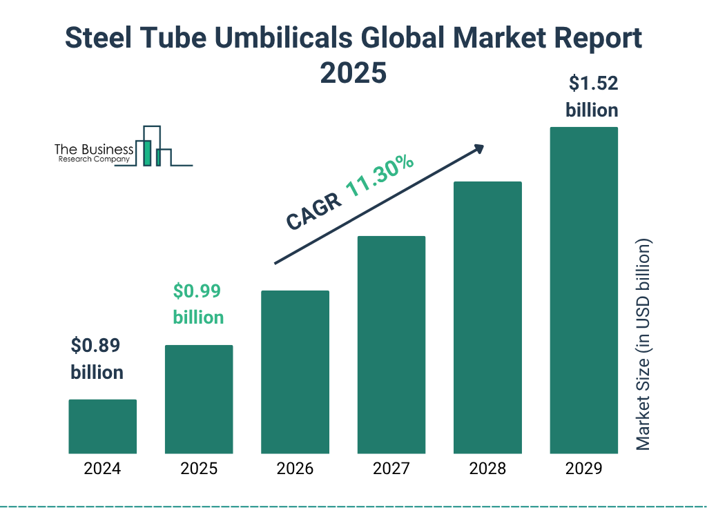 Steel Tube Umbilicals Market Size and growth rate 2025 to 2029: Graph