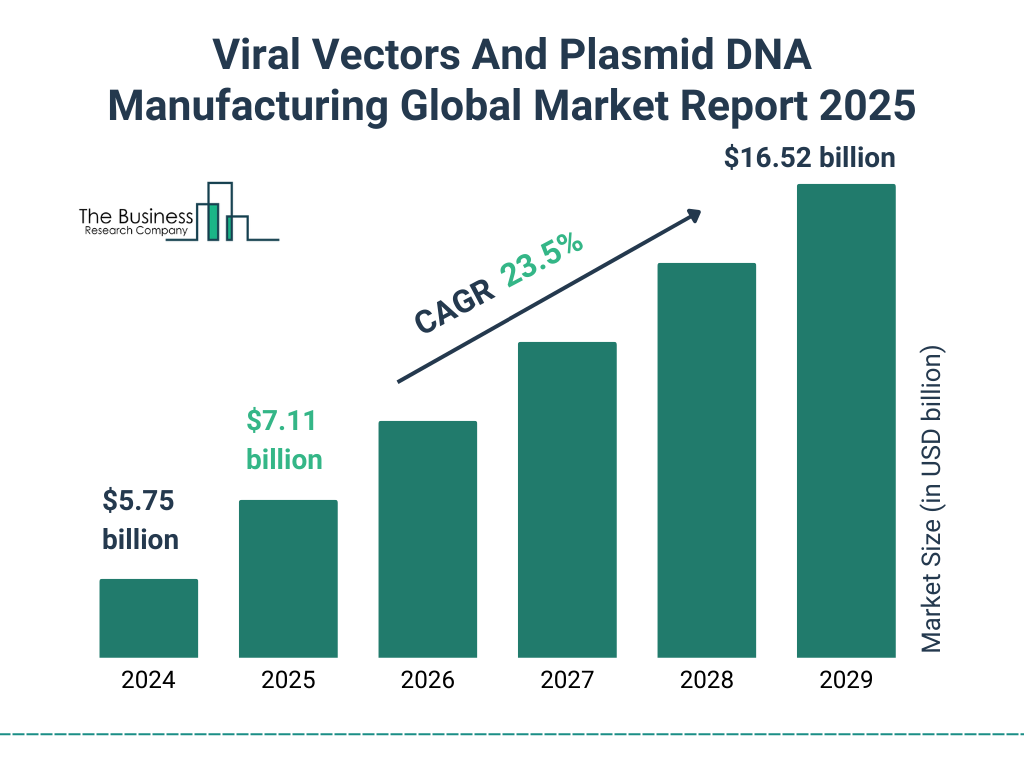 Viral Vectors And Plasmid DNA Manufacturing Market Size and growth rate 2025 to 2029: Graph