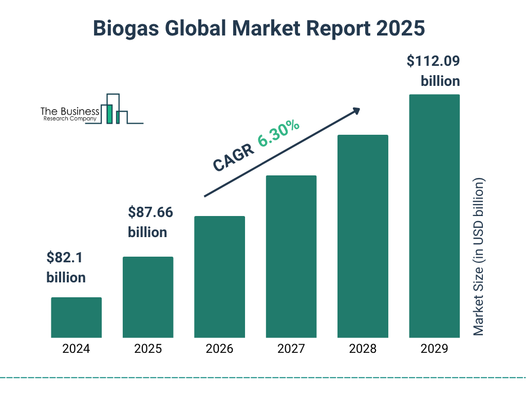 Biogas Market 2025 - 2034