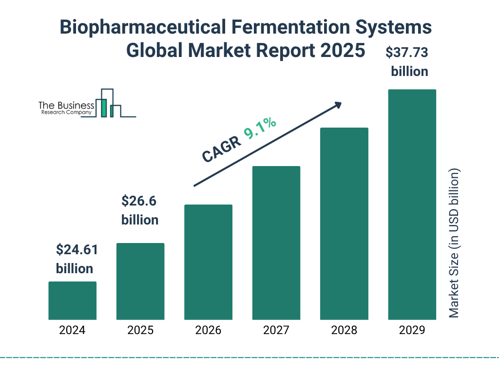 Biopharmaceutical Fermentation Systems Market Size and growth rate 2025 to 2029: Graph