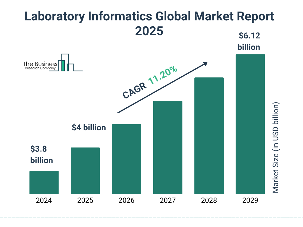 Laboratory Informatics Market Size and growth rate 2025 to 2029: Graph