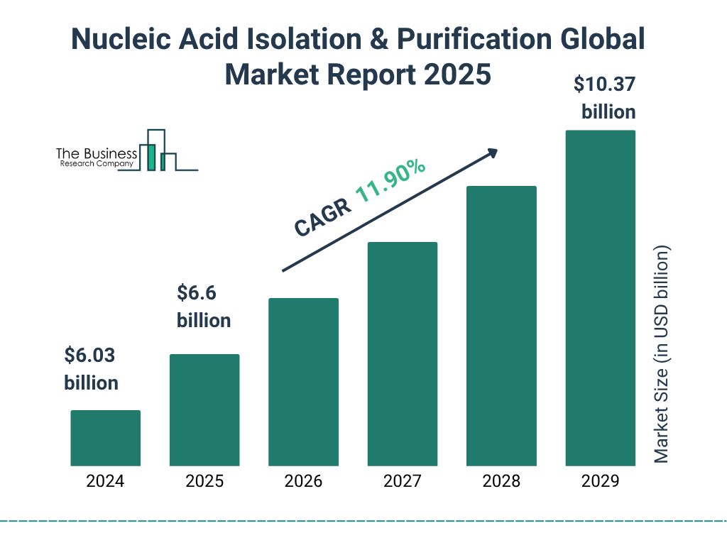 Nucleic Acid Isolation & Purification Market Size and growth rate 2025 to 2029: Graph