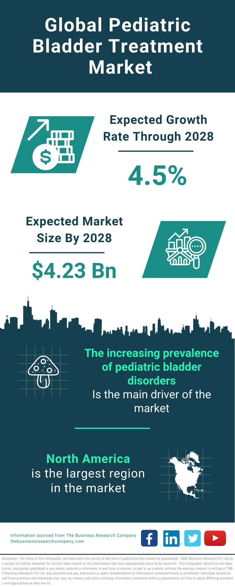 Pediatric Bladder Treatment Global Market Report 2024 