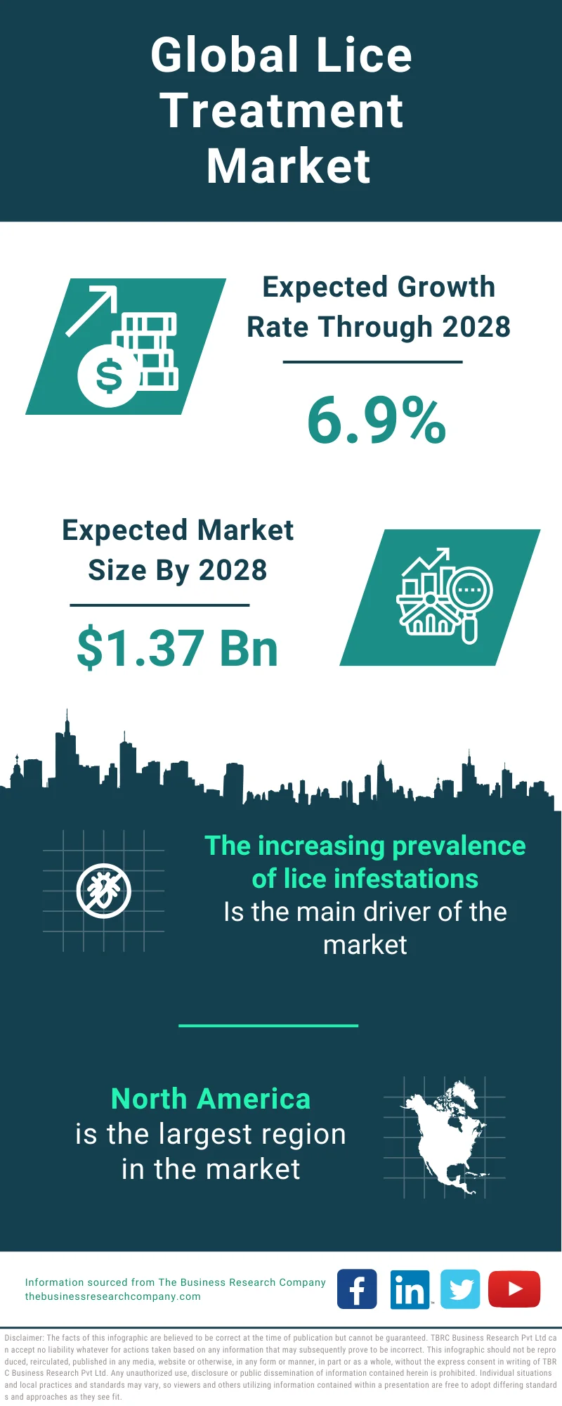 Lice Treatment Global Market Report 2024