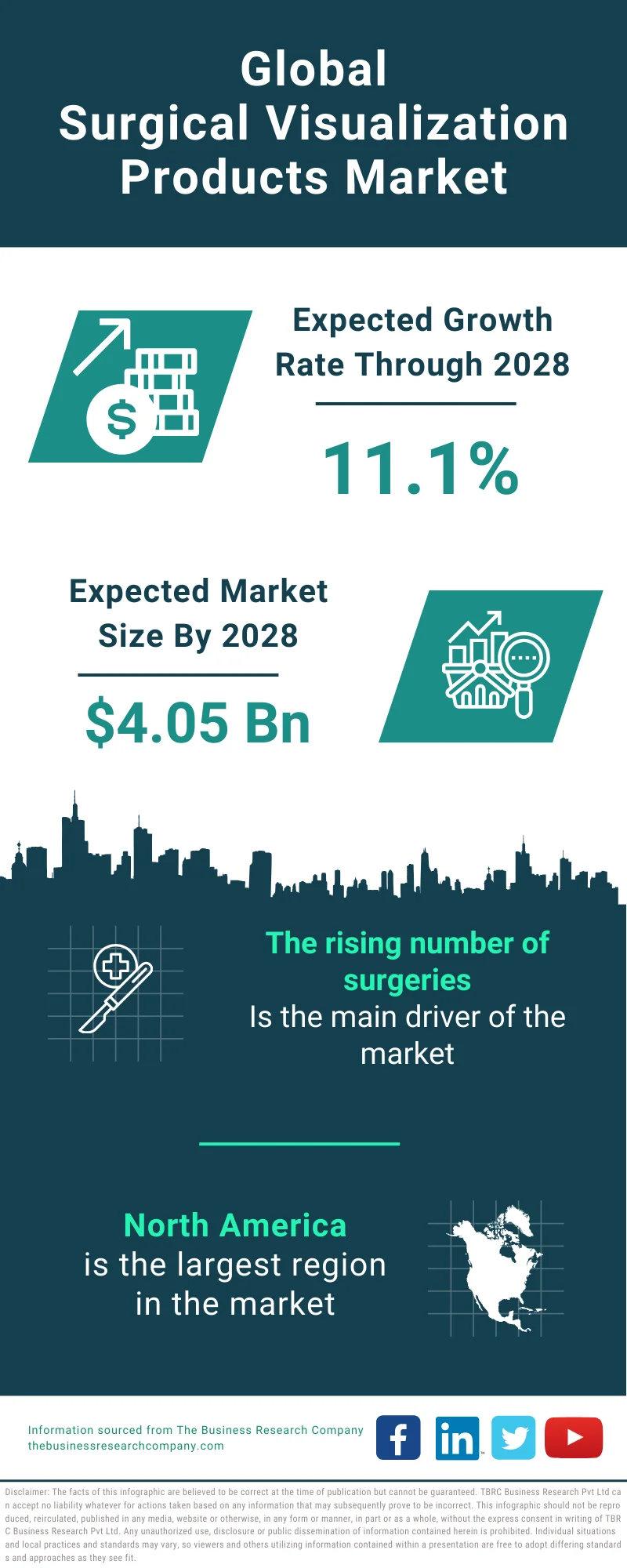 Surgical Visualization Products Global Market Report 2024