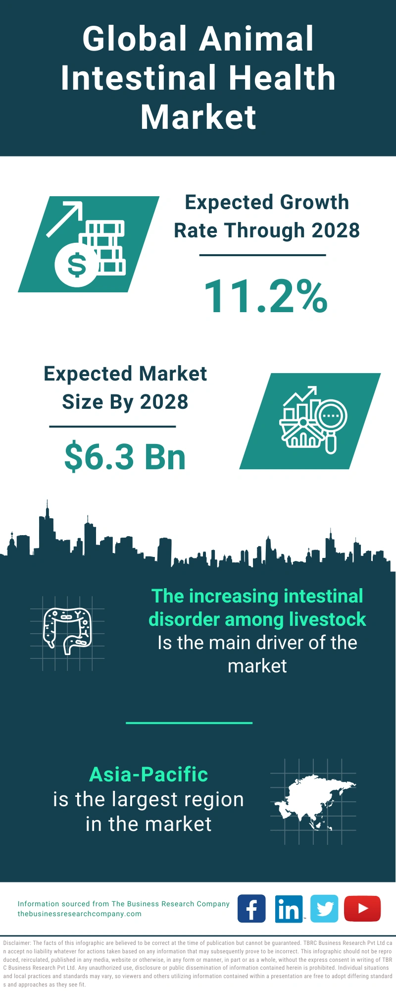 Animal Intestinal Health Global Market Report 2024