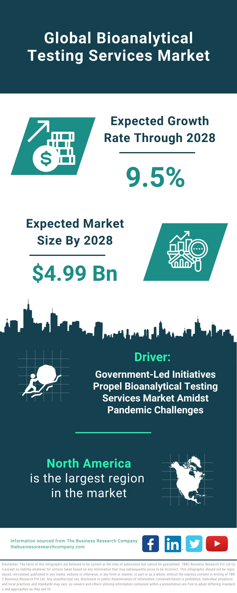 Bioanalytical Testing Services Global Market Report 2024