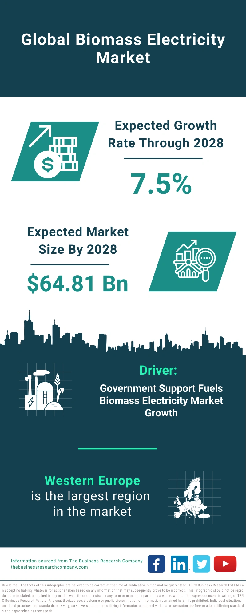 Biomass Electricity Global Market Report 2024