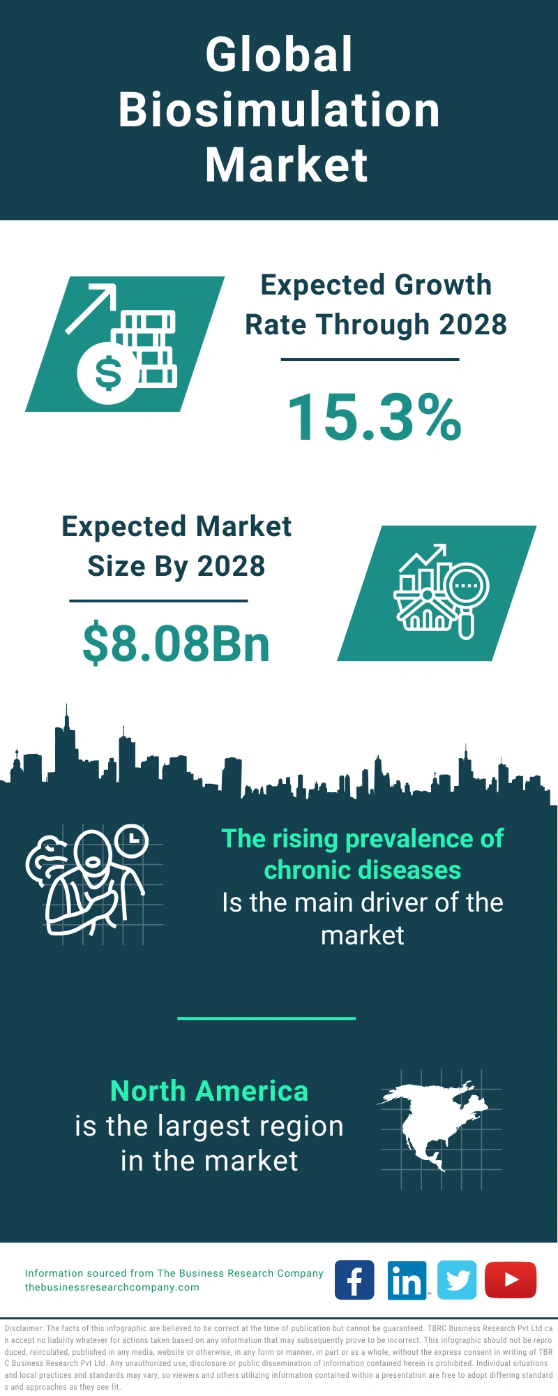 Biosimulation Global Market Report 2024