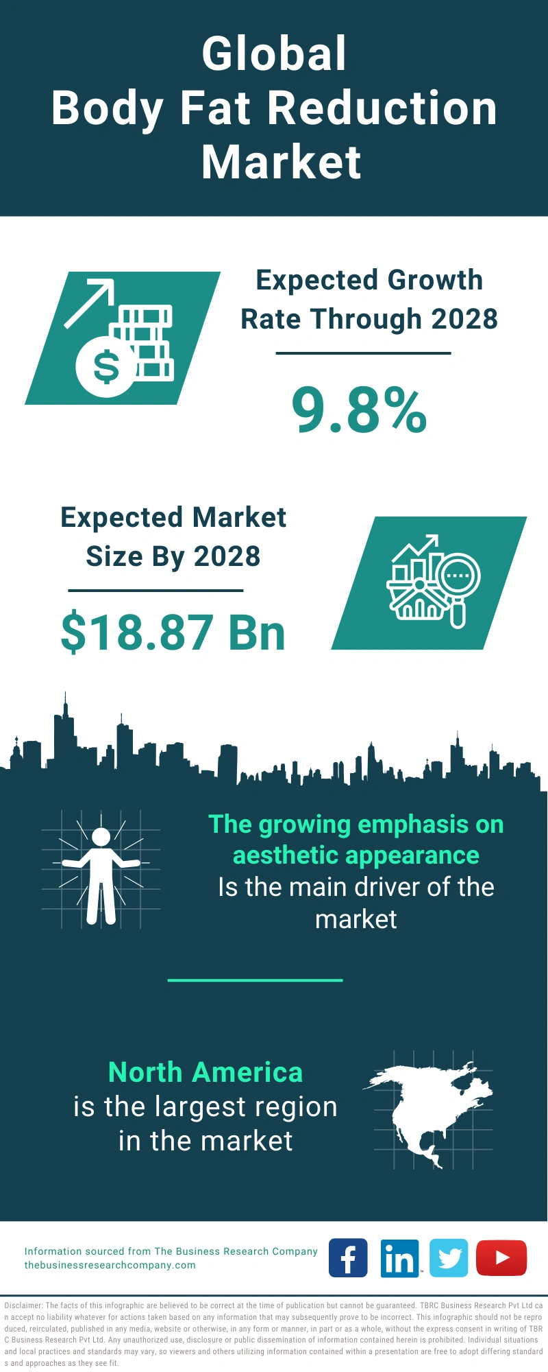 Body Fat Reduction Global Market Report 2024