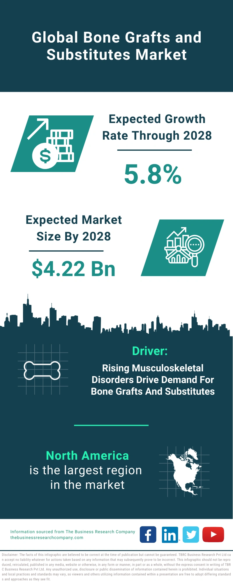 Bone Grafts and Substitutes Global Market Report 2024