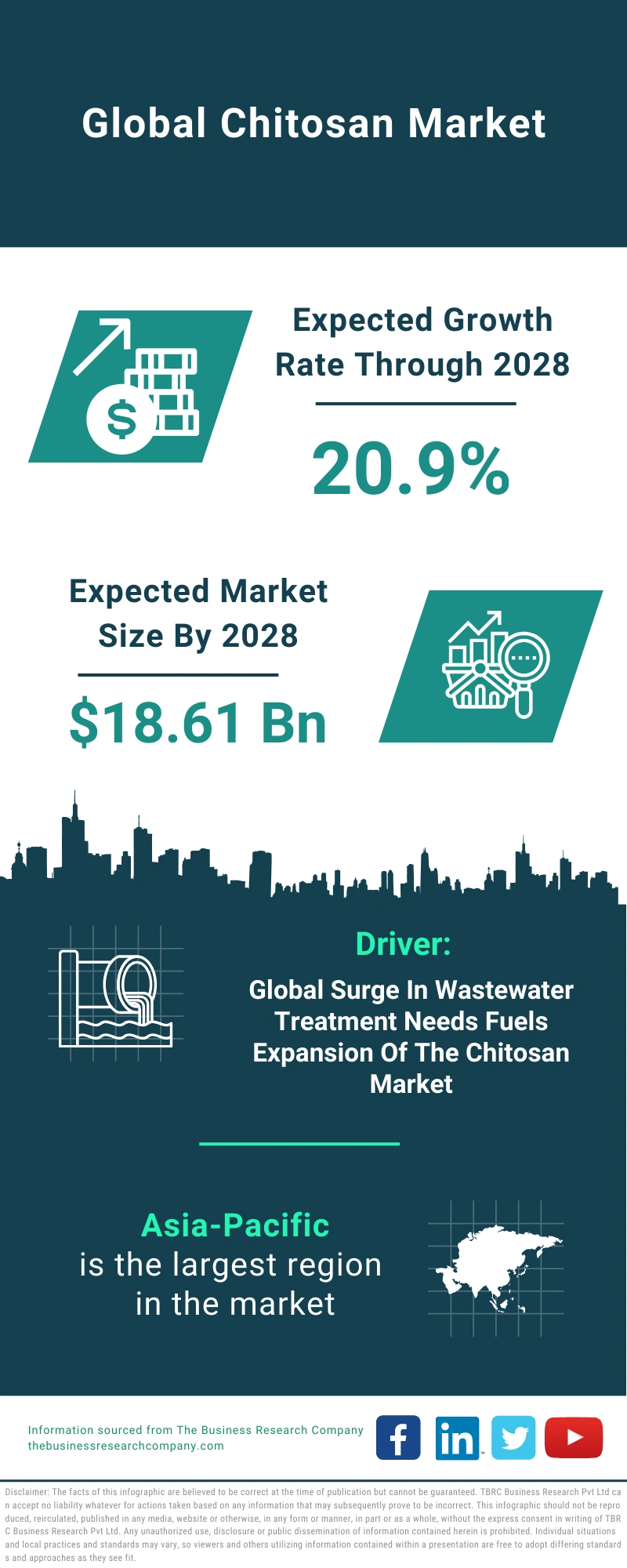 Chitosan Global Market Report 2024 