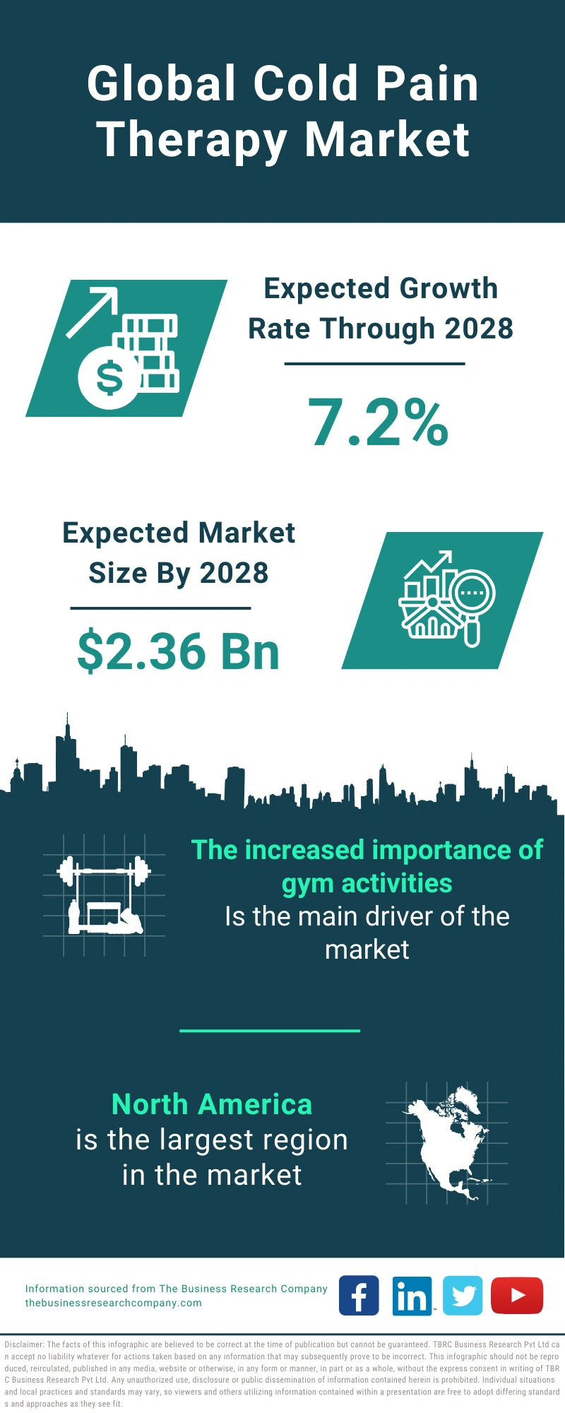 Cold Pain Therapy Global Market Report 2024