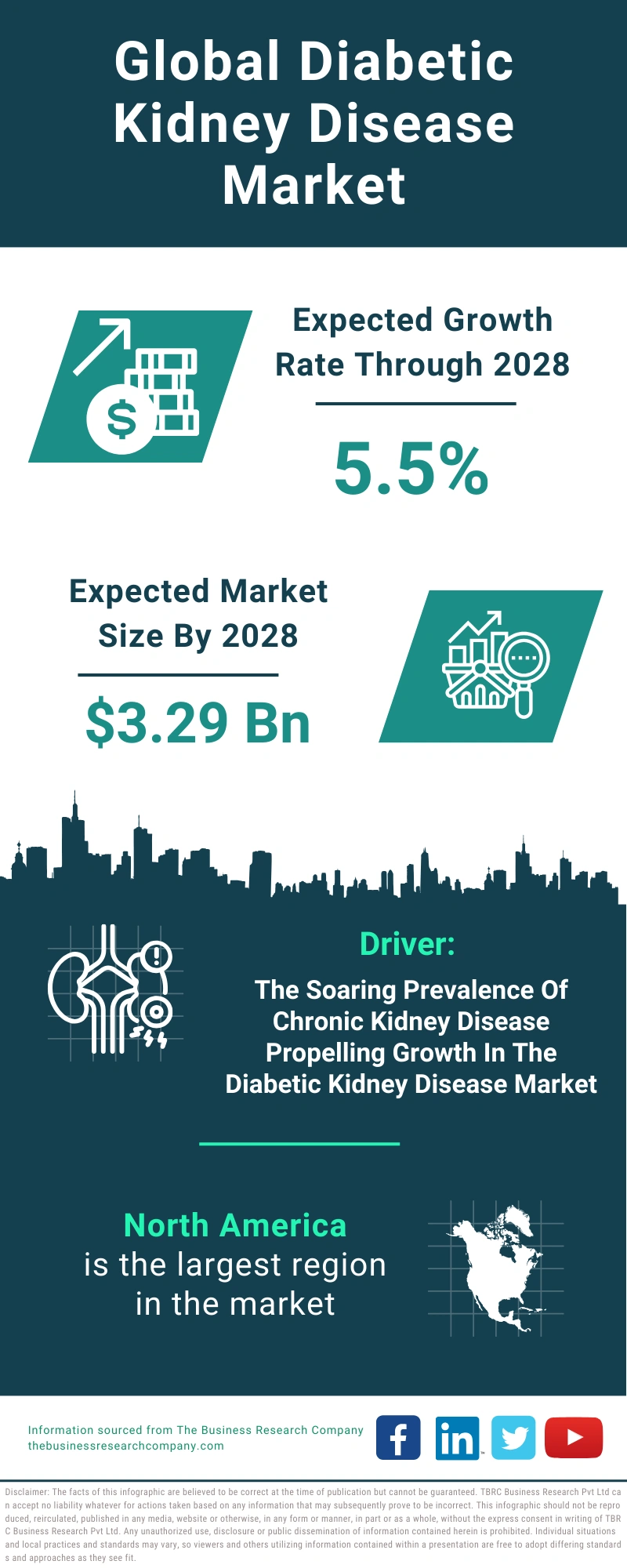 Diabetic Kidney Disease Global Market Report 2024