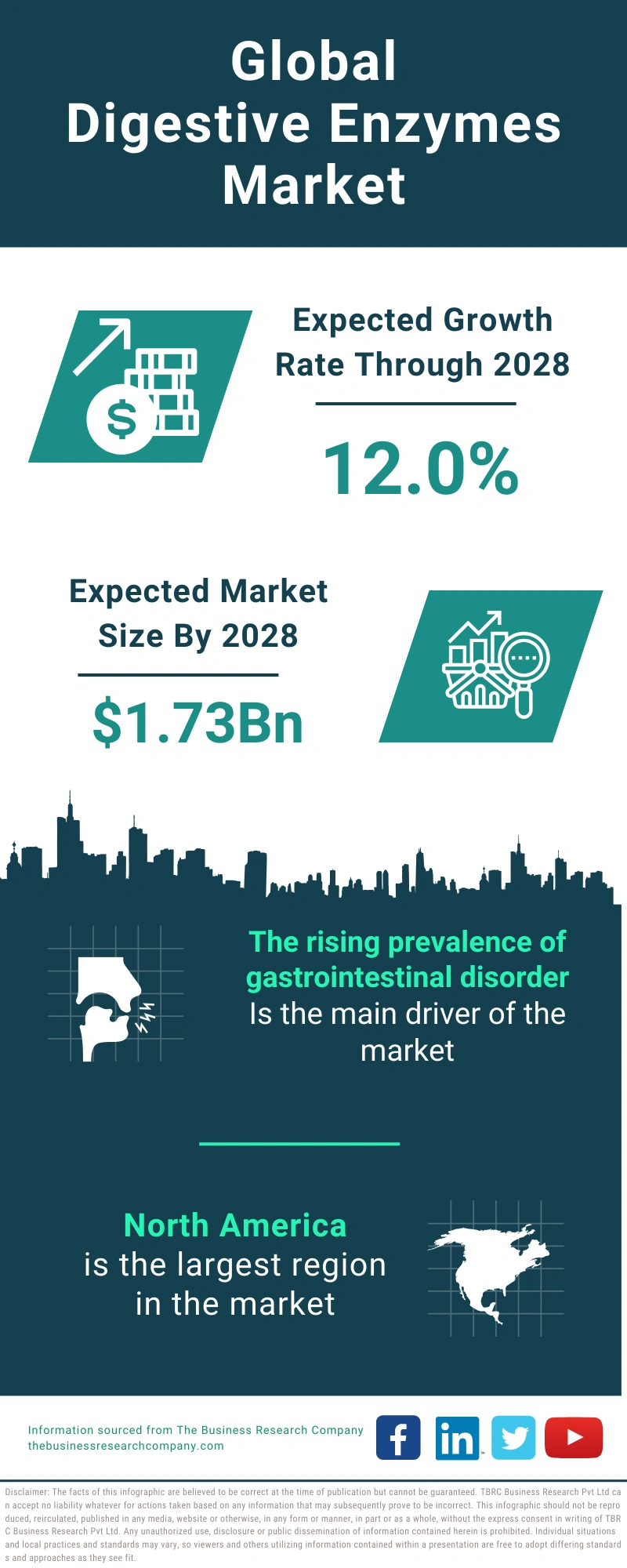 Digestive Enzymes Global Market Report 2024