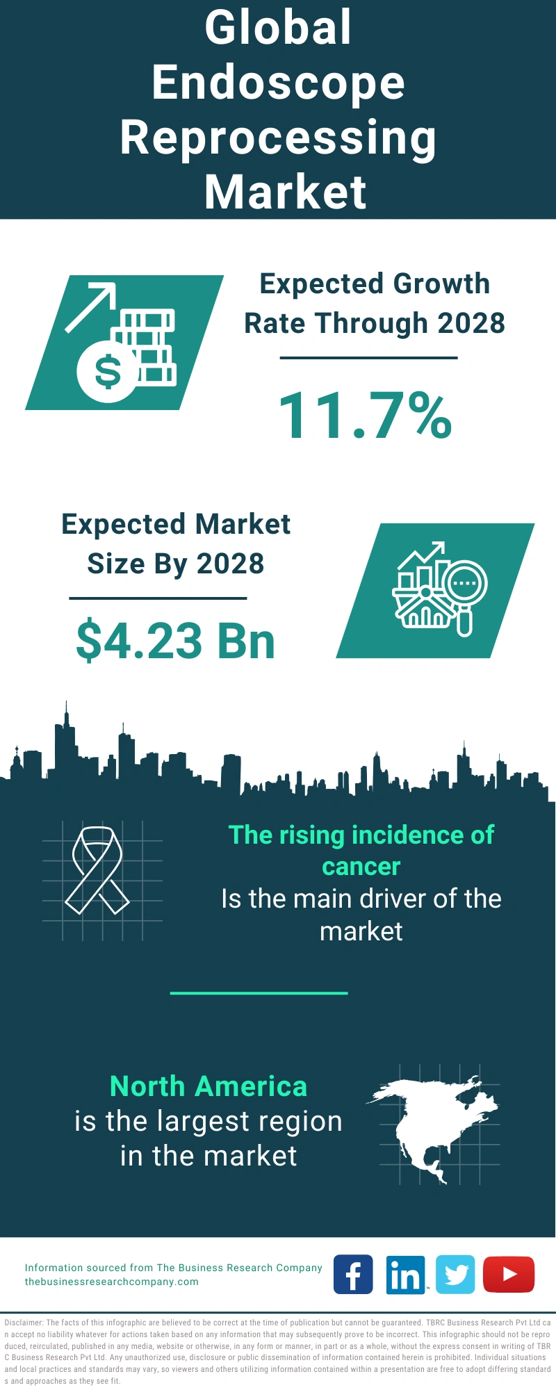 Endoscope Reprocessing Global Market Report 2024