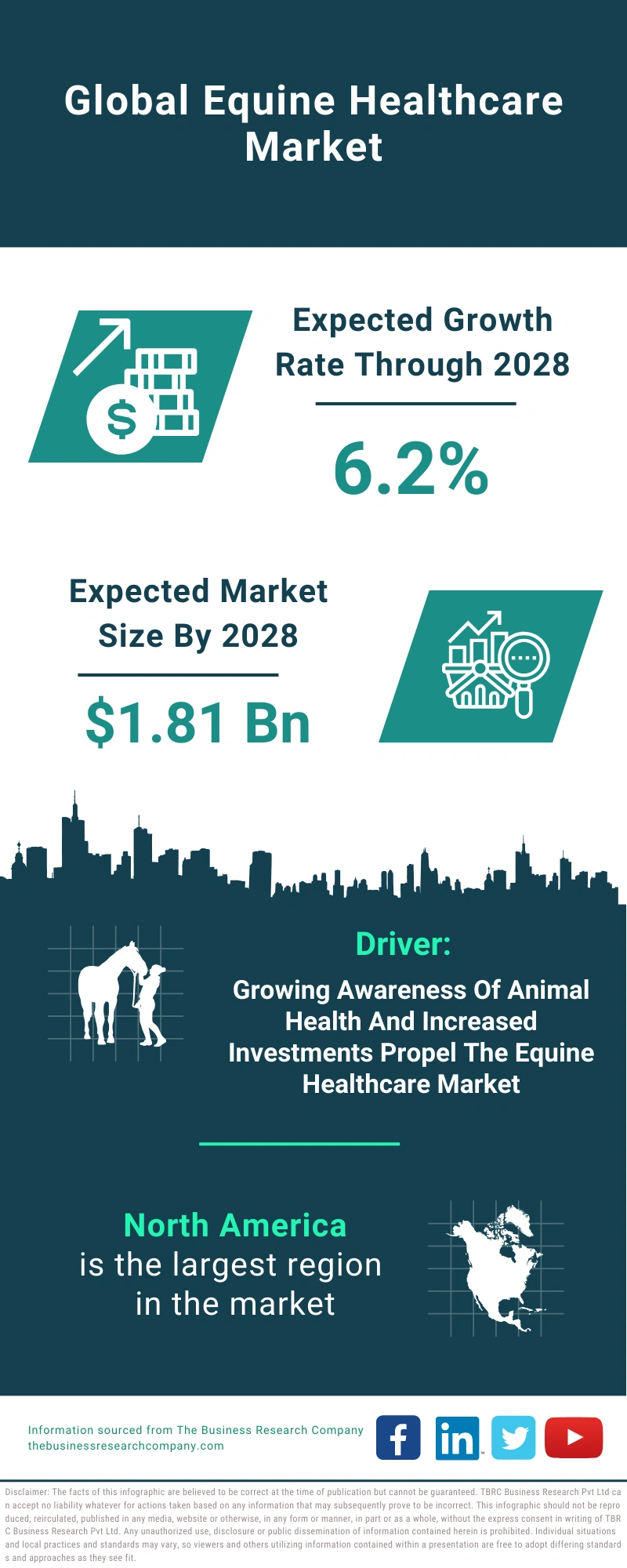 Equine Healthcare Global Market Report 2024