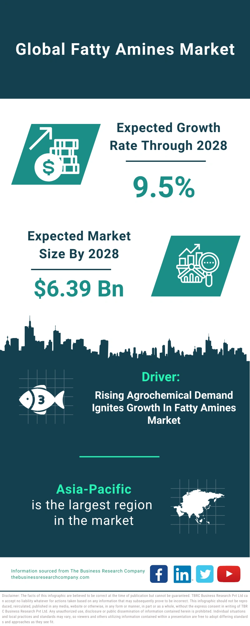 Fatty Amines Global Market Report 2024 