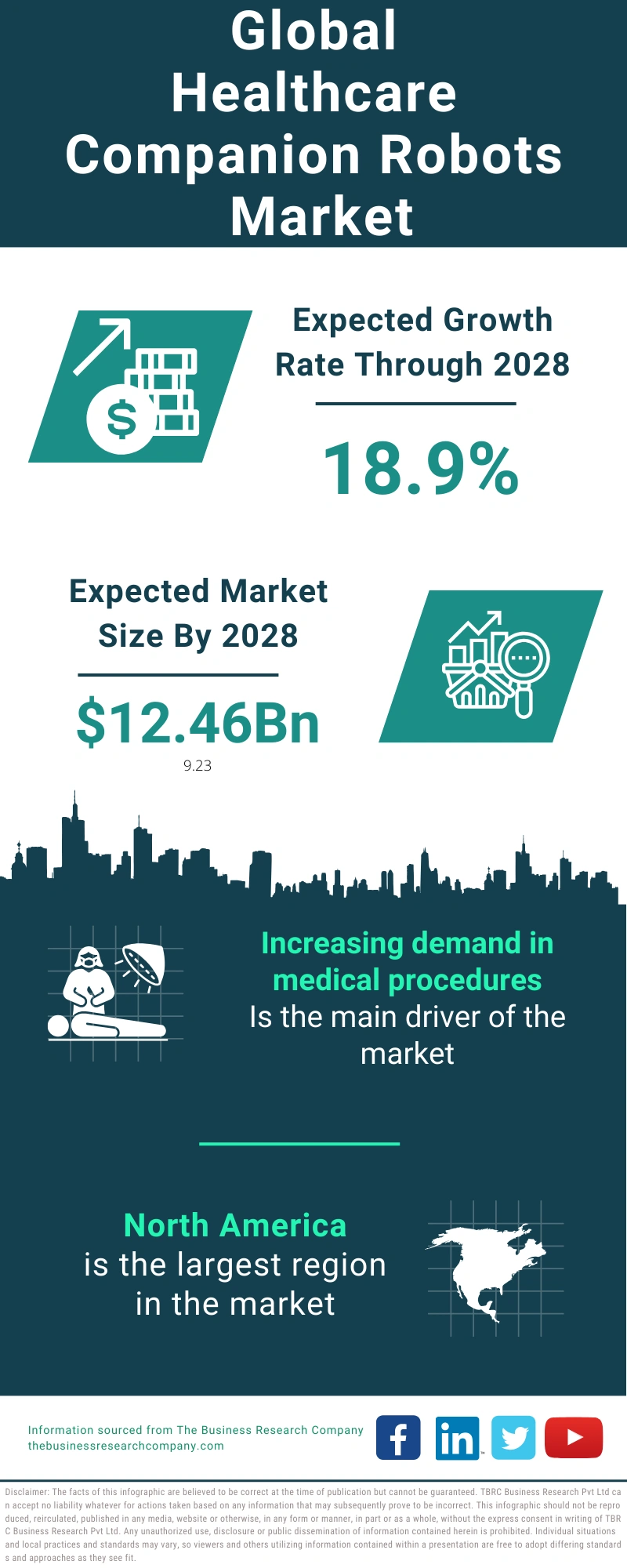 Healthcare Companion Robots Global Market Report 2024