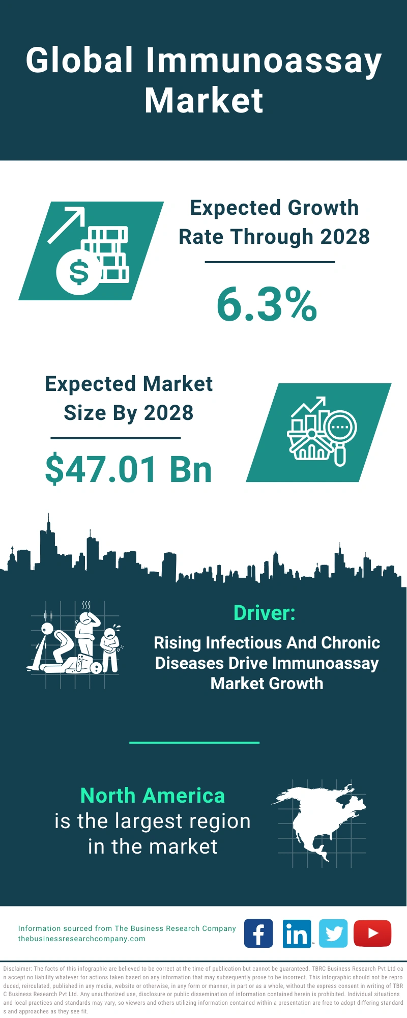 Immunoassay Global Market Report 2024