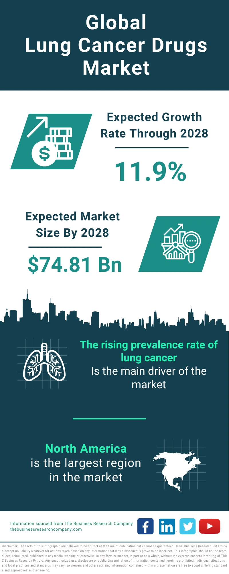 Lung Cancer Drugs Global Market Report 2024