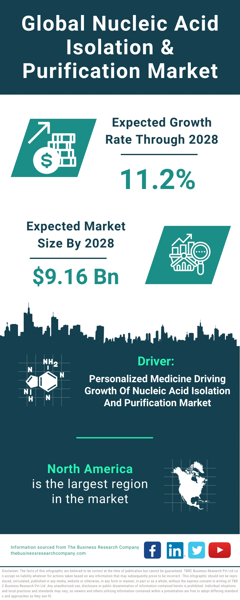 Nucleic Acid Isolation & Purification Global Market Report 2024