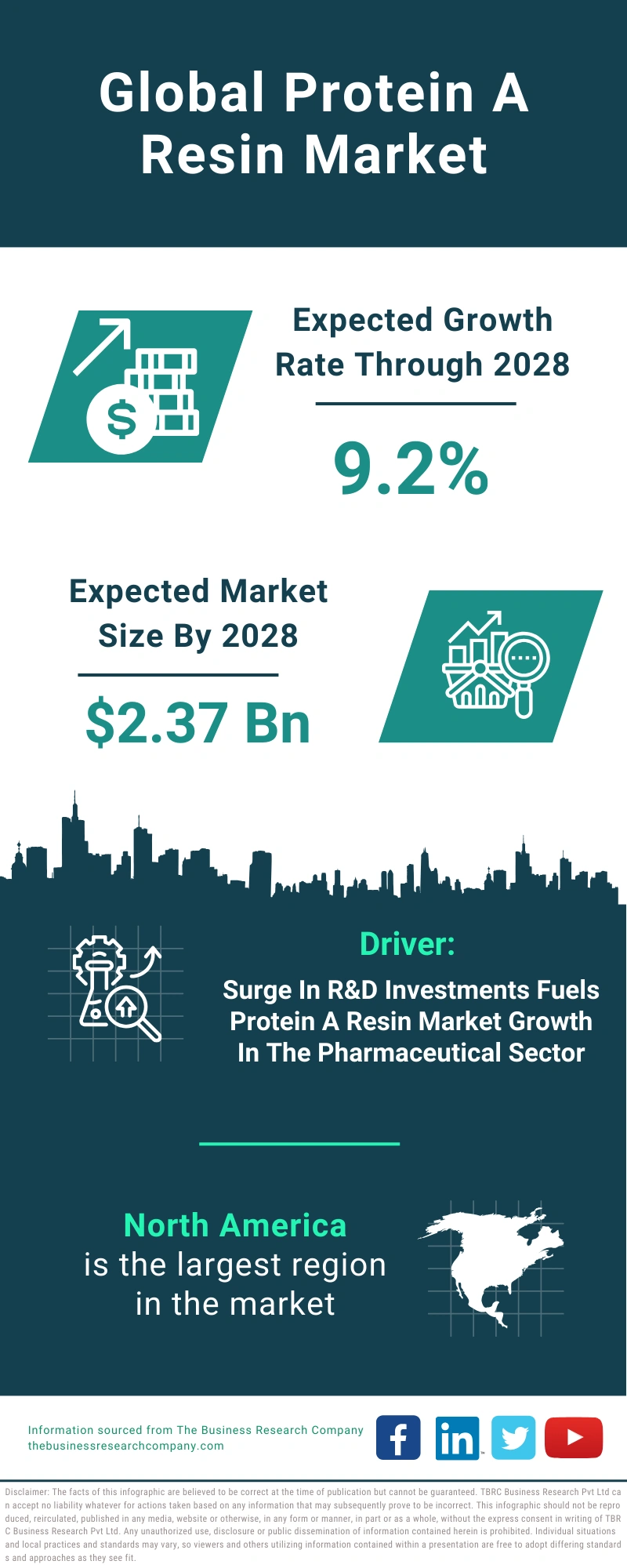 Protein A Resin Global Market Report 2024