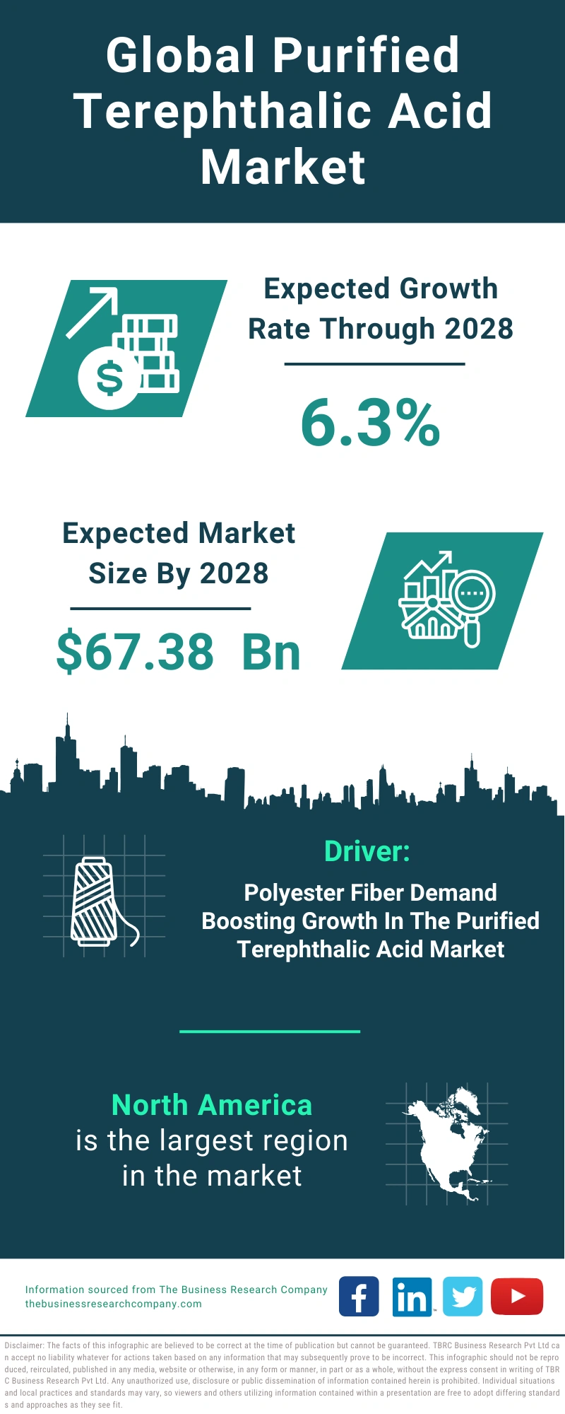 Purified Terephthalic Acid Global Market Report 2024