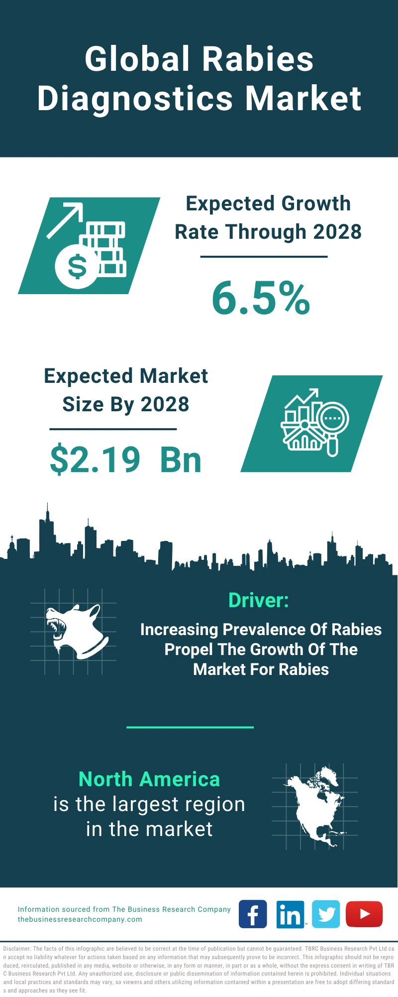 Rabies Diagnostics Global Market Report 2024