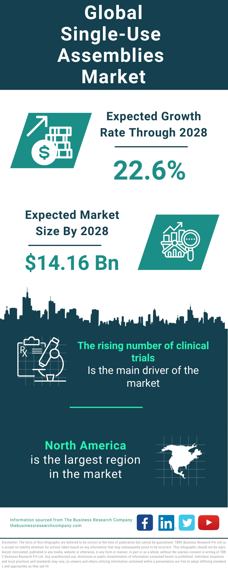 Single-Use Assemblies Global Market Report 2024