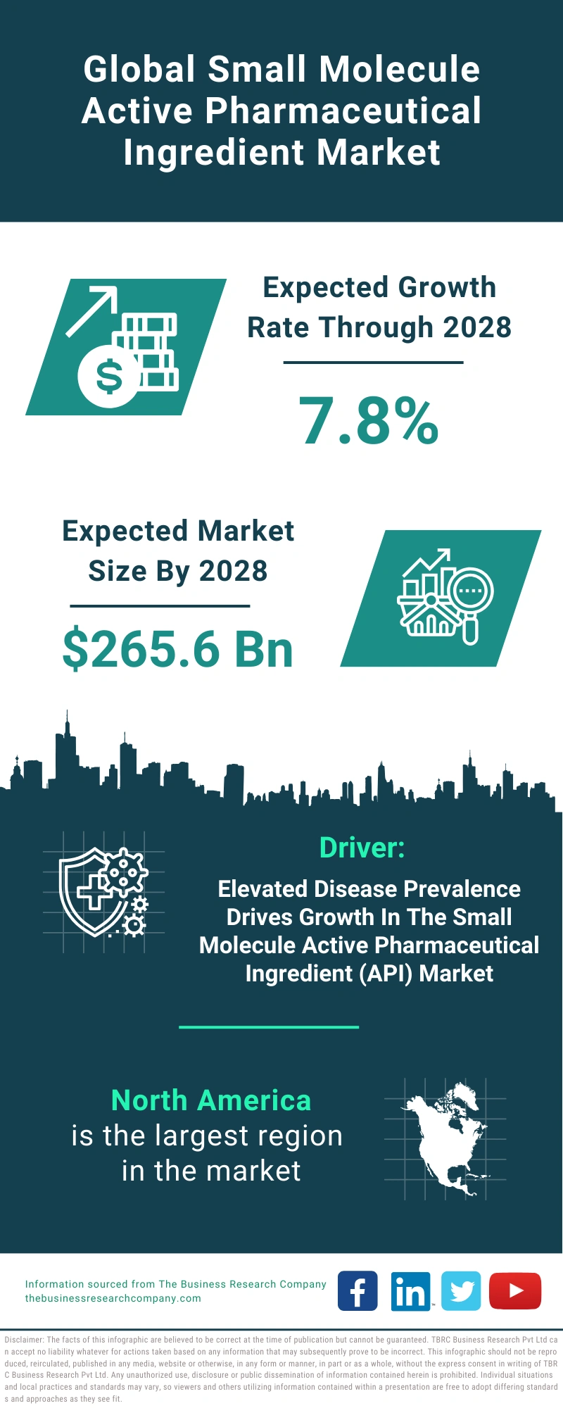 Small Molecule Active Pharmaceutical Ingredient Global Market Report 2024