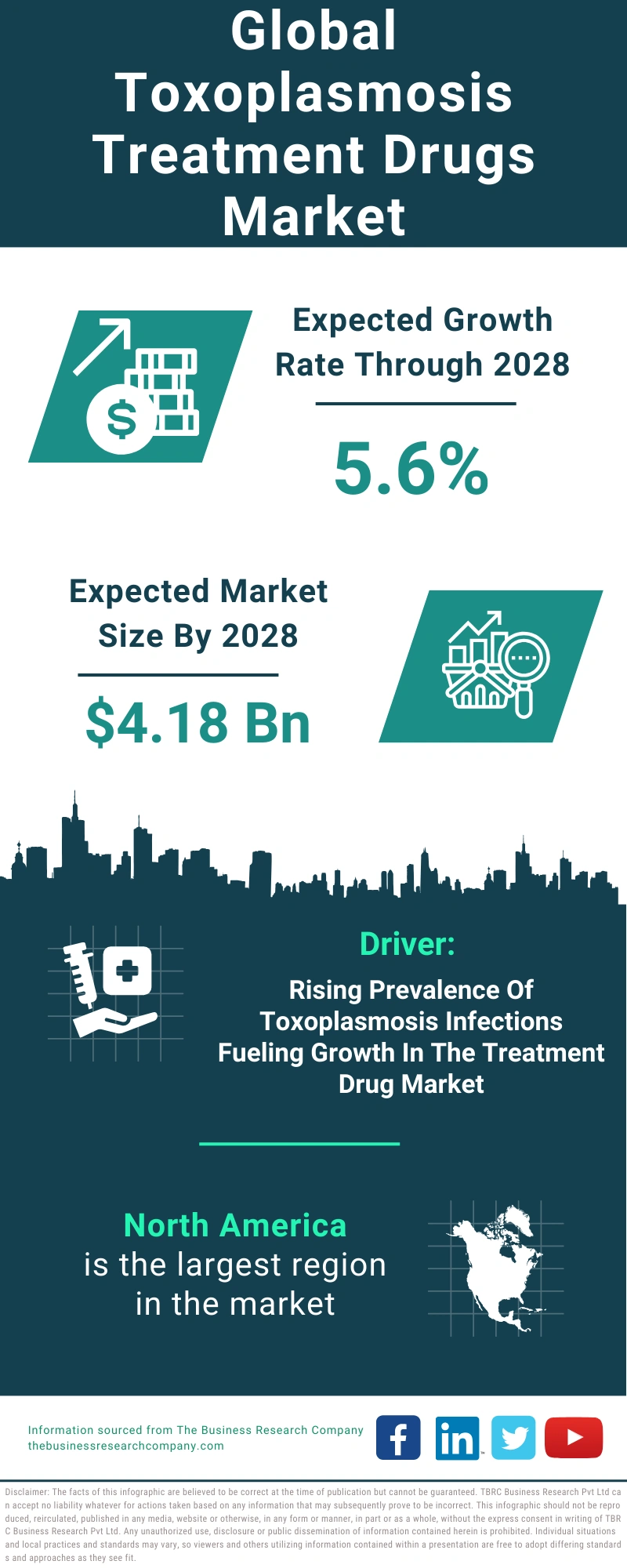 Toxoplasmosis Treatment Drugs Global Market Report 2024