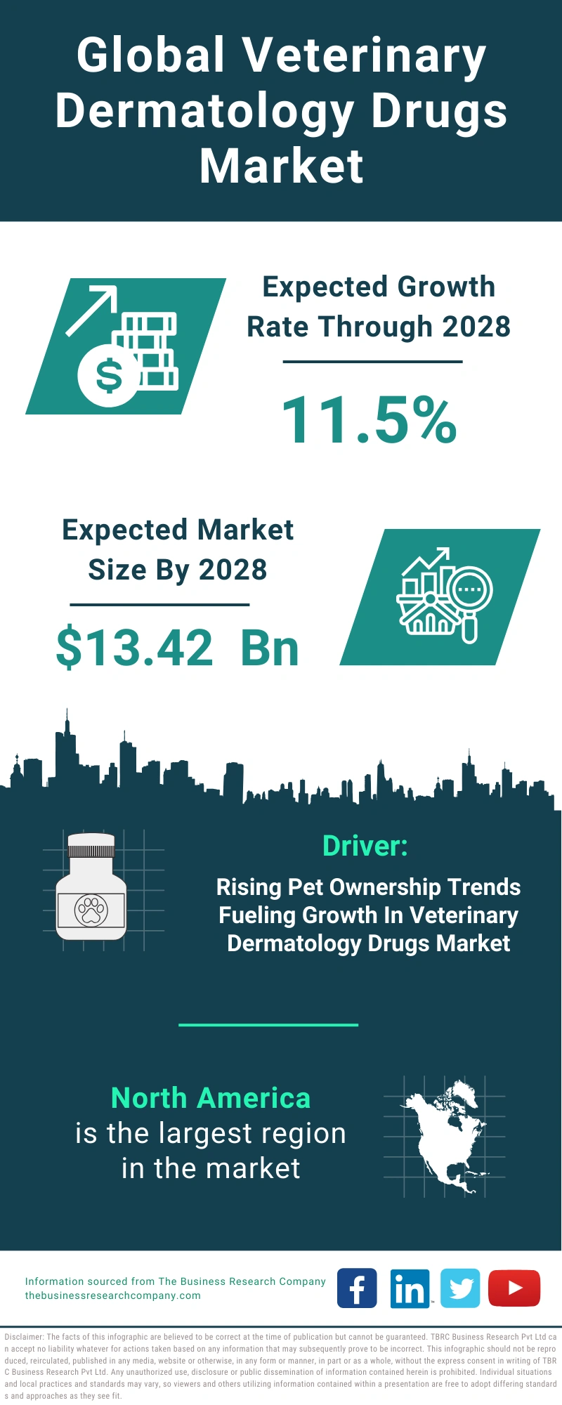 Veterinary Dermatology Drugs Global Market Report 2024