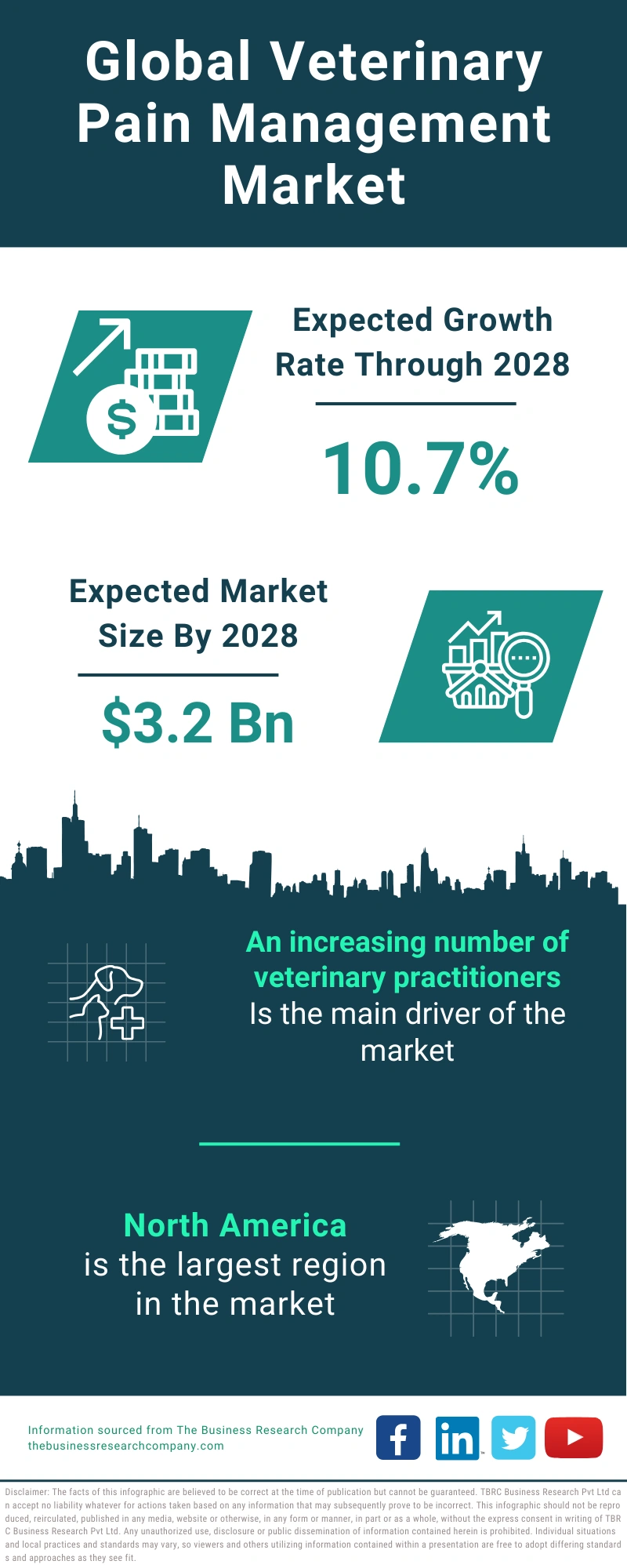 Veterinary Pain Management Global Market Report 2024